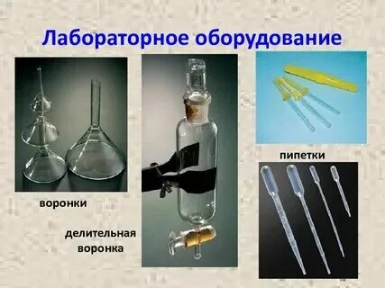 Книжка малышка лабораторное оборудование 5 класс биология