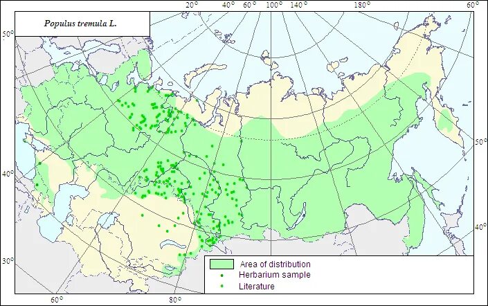 Лиственница сибирская ареал. Ареал сосны кедровой сибирской. Береза повислая ареал. Ель сибирская ареал распространения в россии. Распространение сосны.