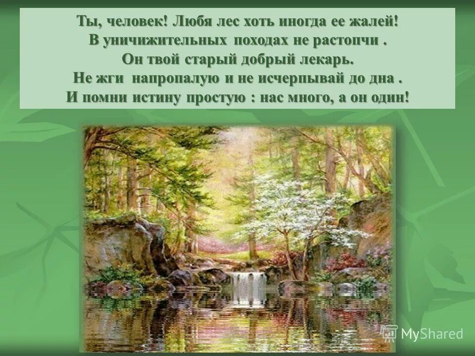 Что по вашему любить природу. Любите природу. Ты человек любя природу хоть иногда ее жалей. Какую вы любите природу. Как я люблю природу.