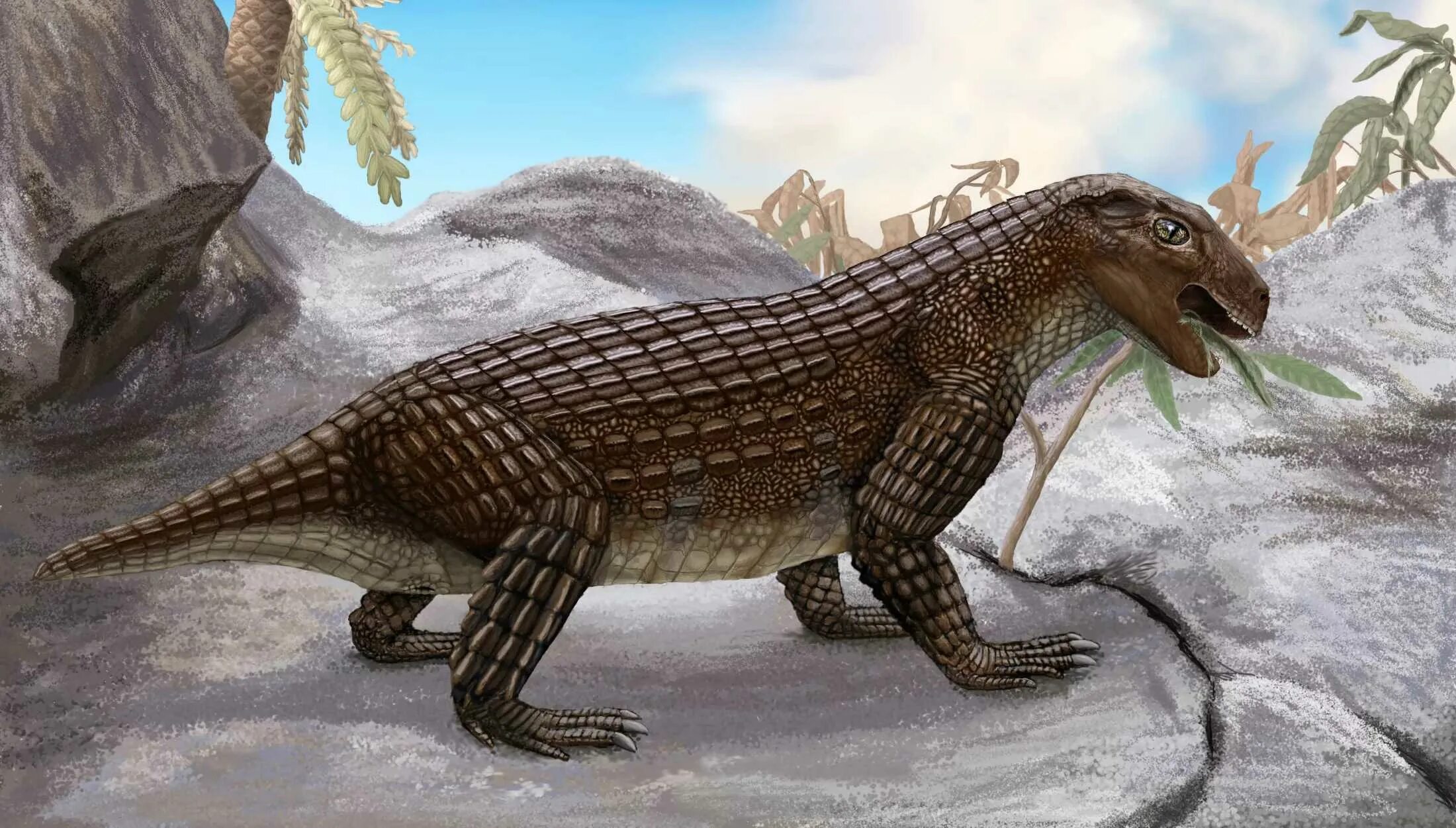Предки современных рептилий. Древний крокодил дейнозух. Вымершие крокодиломорфы. Simosuchus clarki. Крокодиломорфы мезозоя.