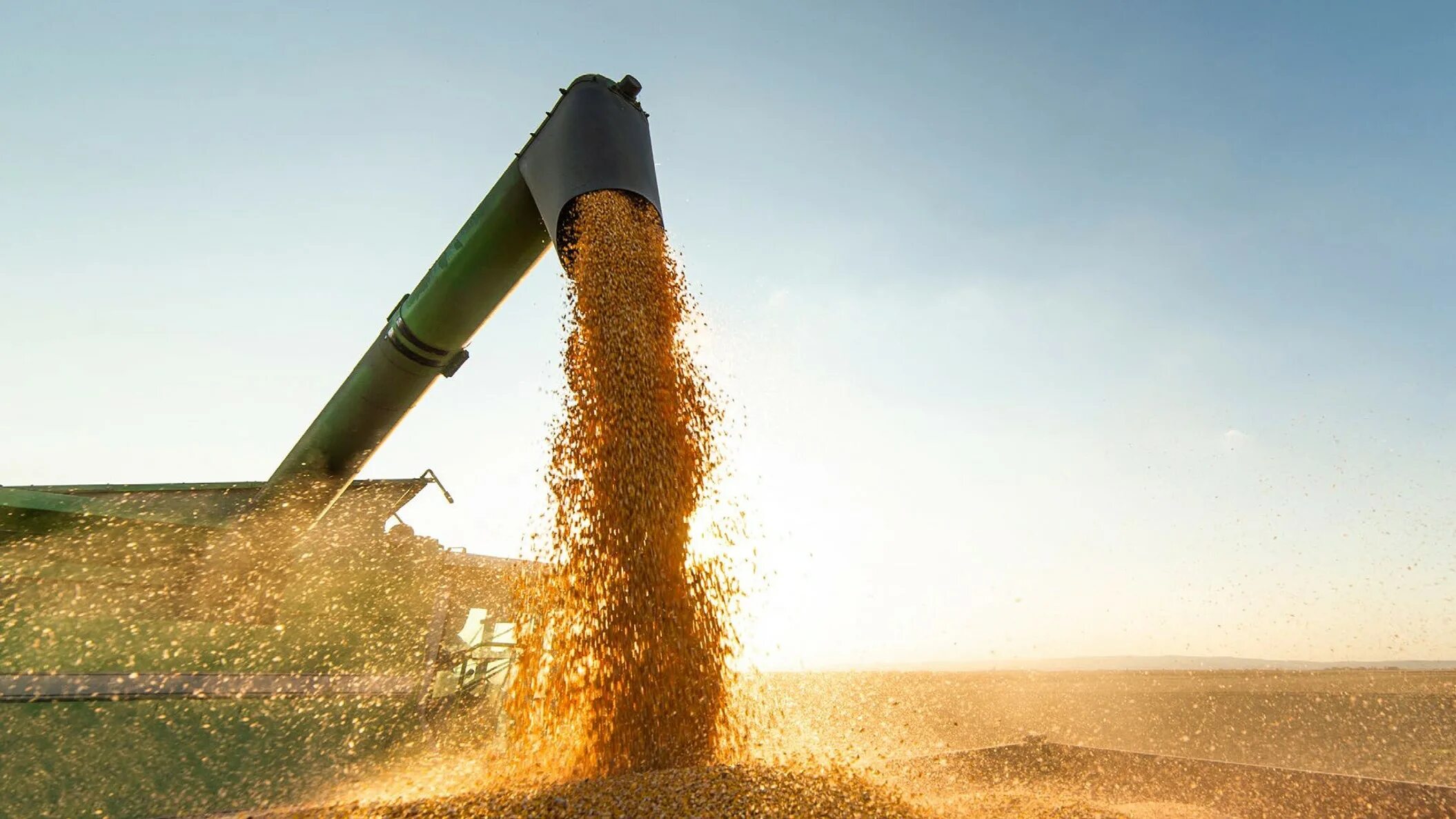 Зерно сыпется. Силосная башня для зерна. Аграрно- промышленный комплекс рф. Ооо «зерновые системы» саратов бибин. Зерновые системы.