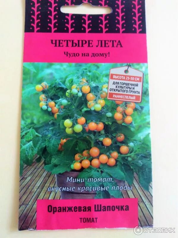 Помидор 4 лета. Томат красная шапочка оранжевая семена. Томат черри оранжевая шапочка. Томаты четыре лета красная шапочка. Семена томатов четыре лета красная шапочка.