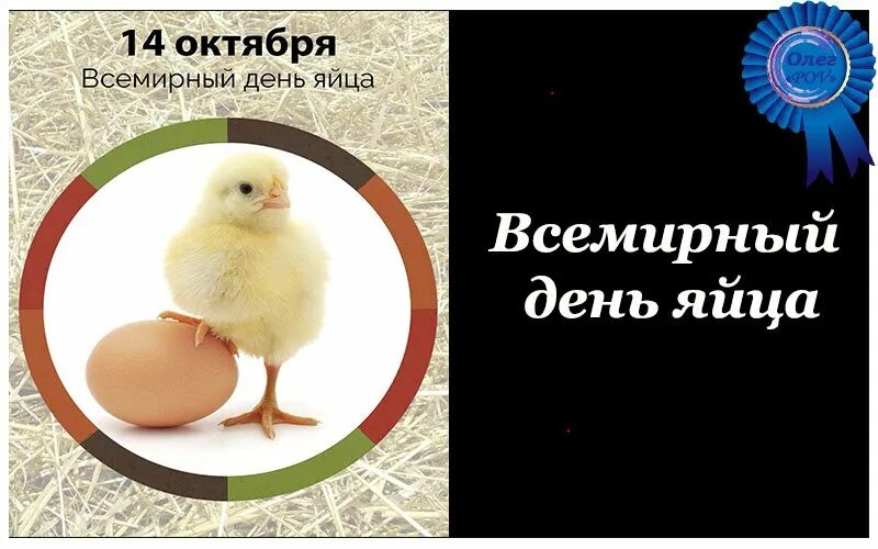 А вы знаете, что сегодня всемирный день Яйца? - обсуждение (33048020) на форуме 