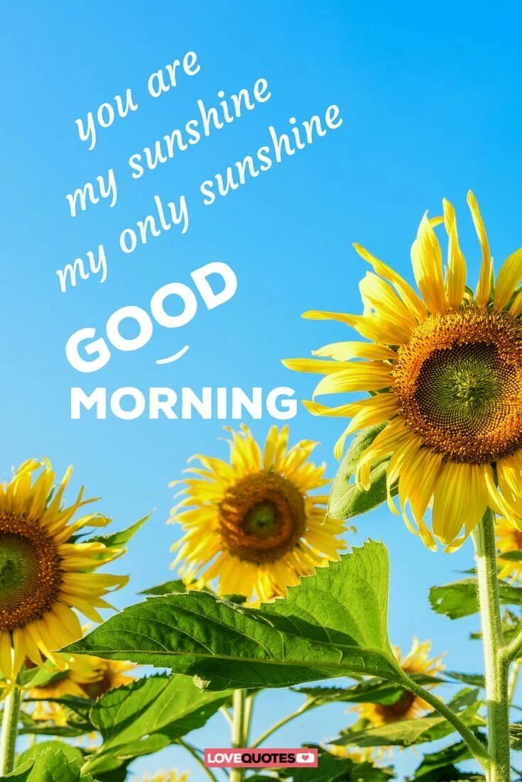 Message mornings