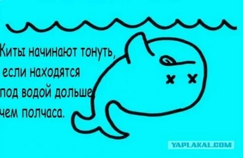 Простые факты
