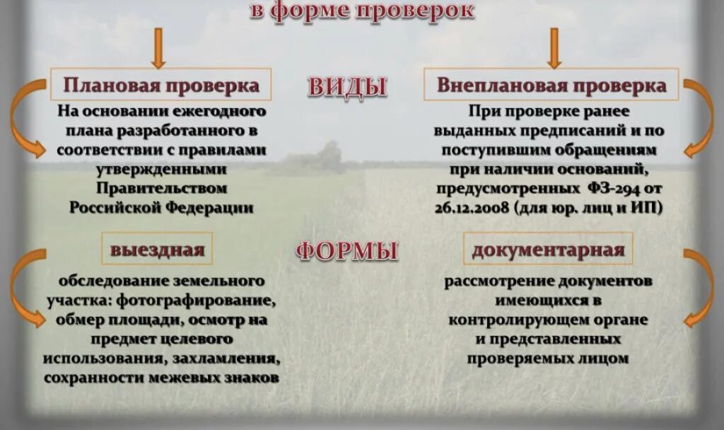 Положение о федеральном государственном земельном контроле