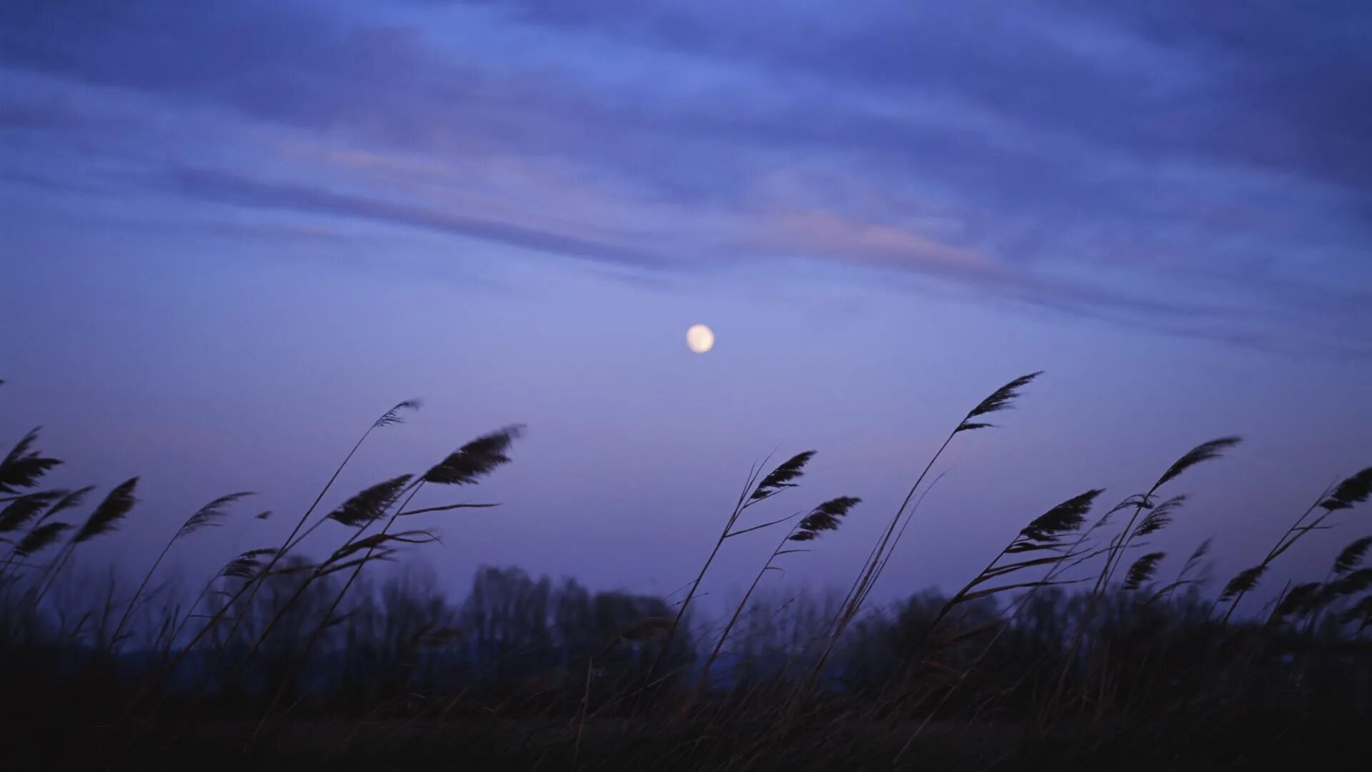 Одна звезда на небе. Эстетика ночи. Темное лунное небо. Тёмной, тёмной ночью. Ночь темна не видна в небе.