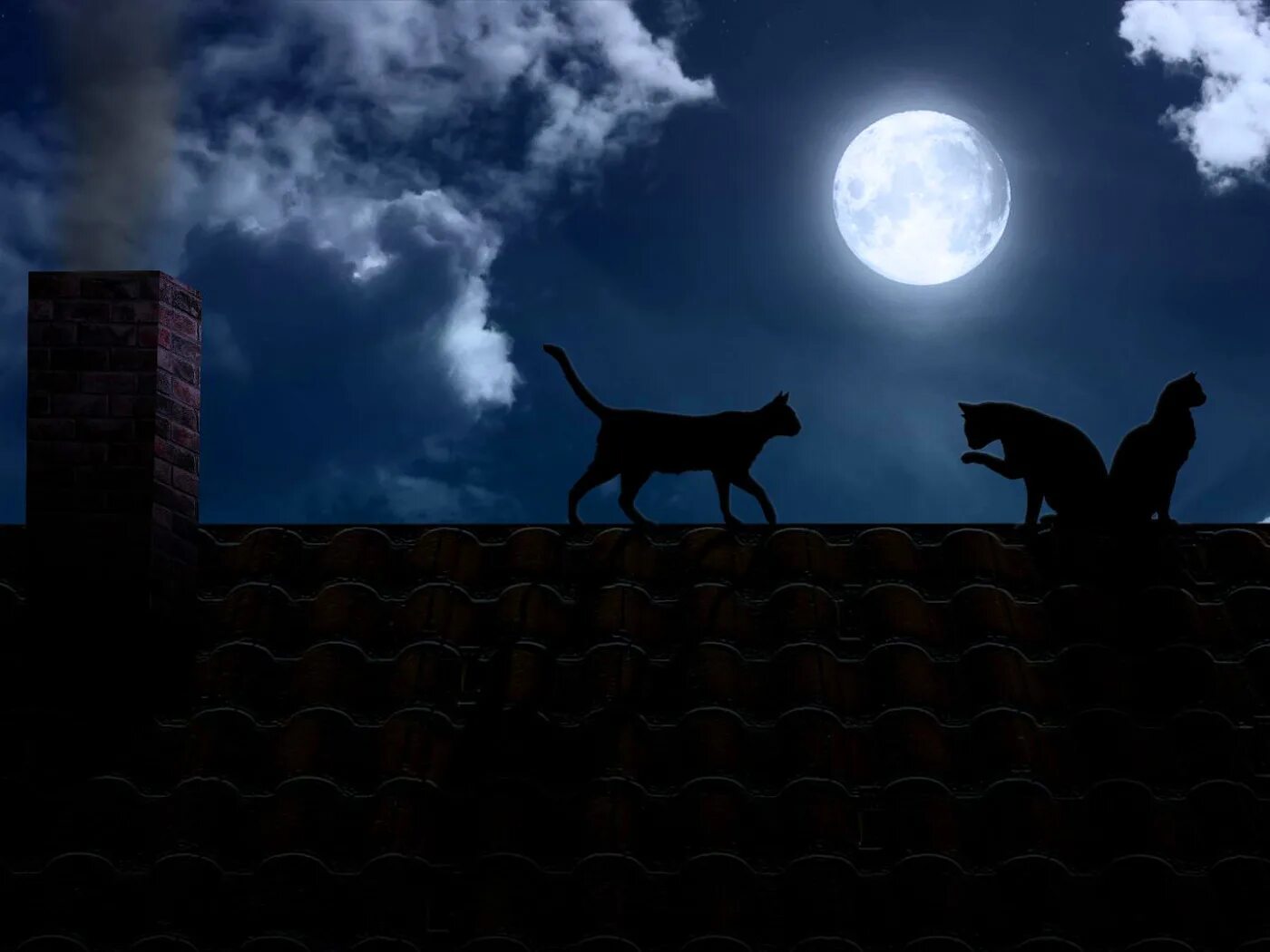 "лунный кот". Аниме кот под дождём. Кот ночью. Коты и ночь бесятся. Кот ночью ходит.