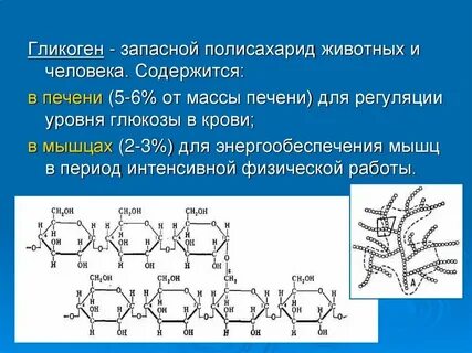 Каталитическую структурную запасающую гормональную сократительную энергетическую