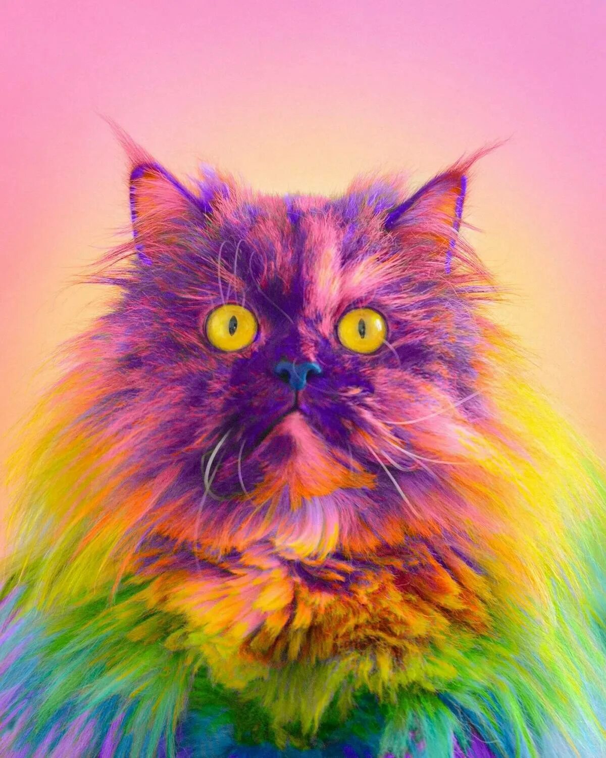 Радужная кошка. Разноцветная кошка. Разноцветная кошка. Яркие коты. Радужные котята.