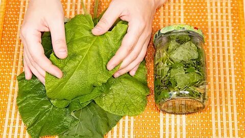 Лист лопуха для лечения сустава