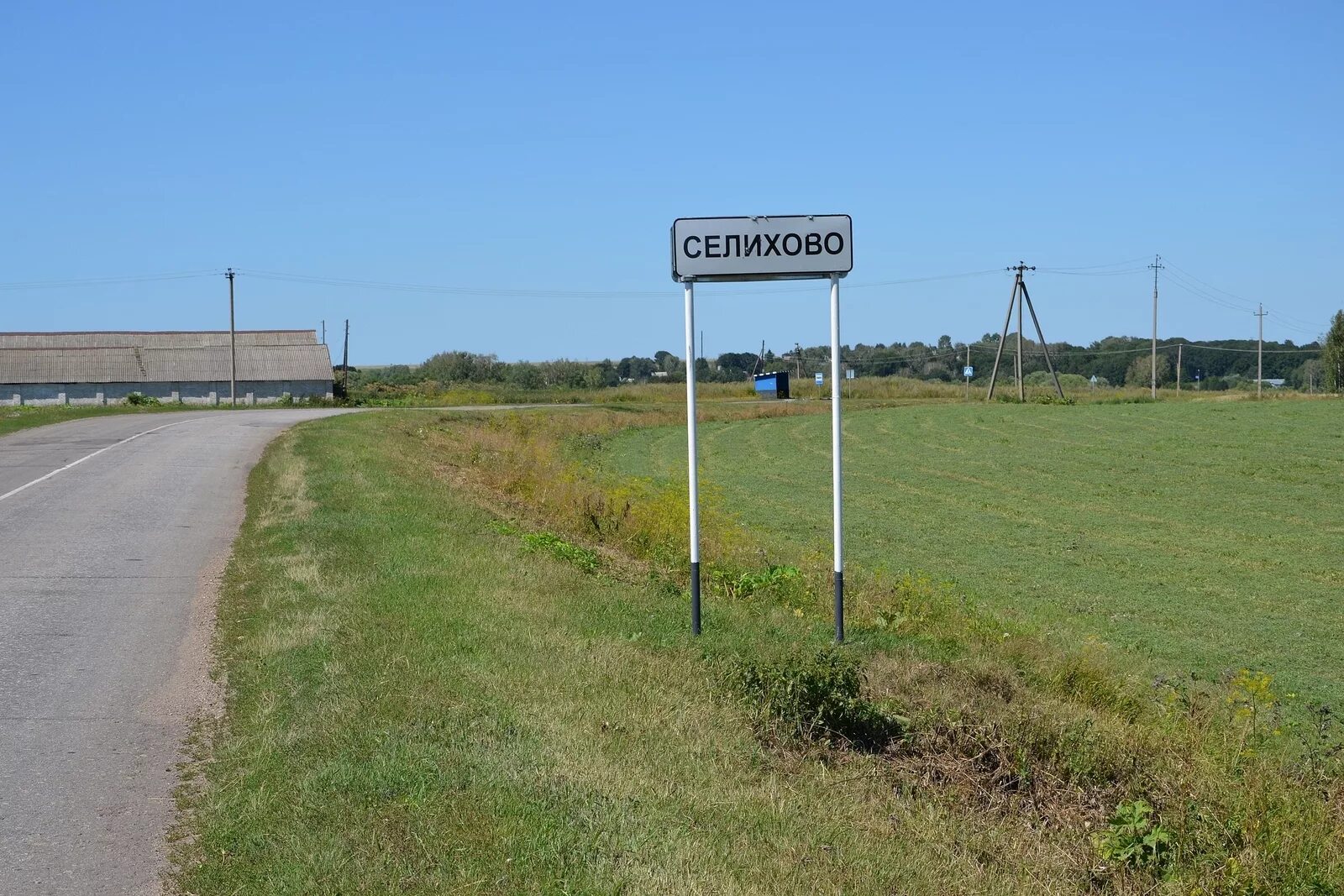 Село Селихово Знаменский район. Орловская область Знаменский район село Знаменское. С Селихово Знаменского района Орловской области. Деревня Селихово Орловской области.