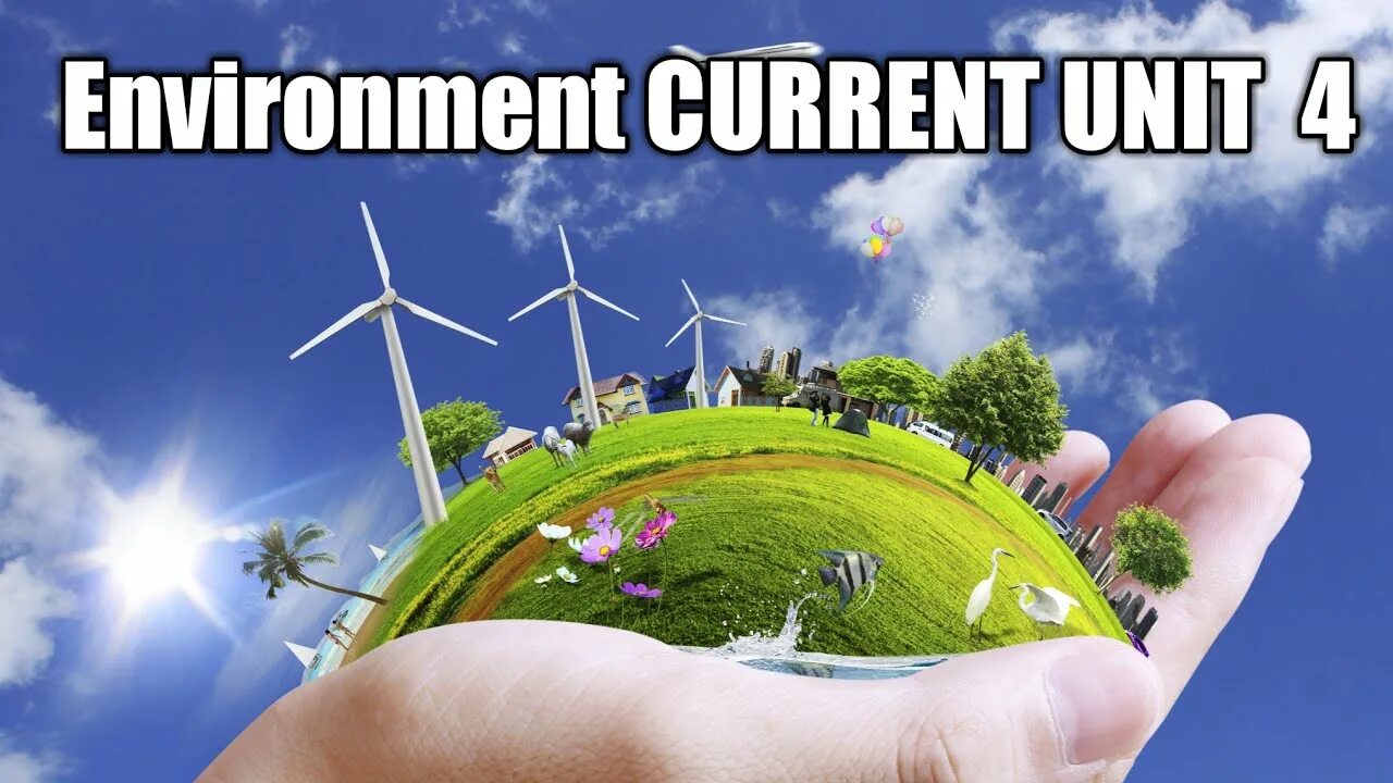Environment current directory