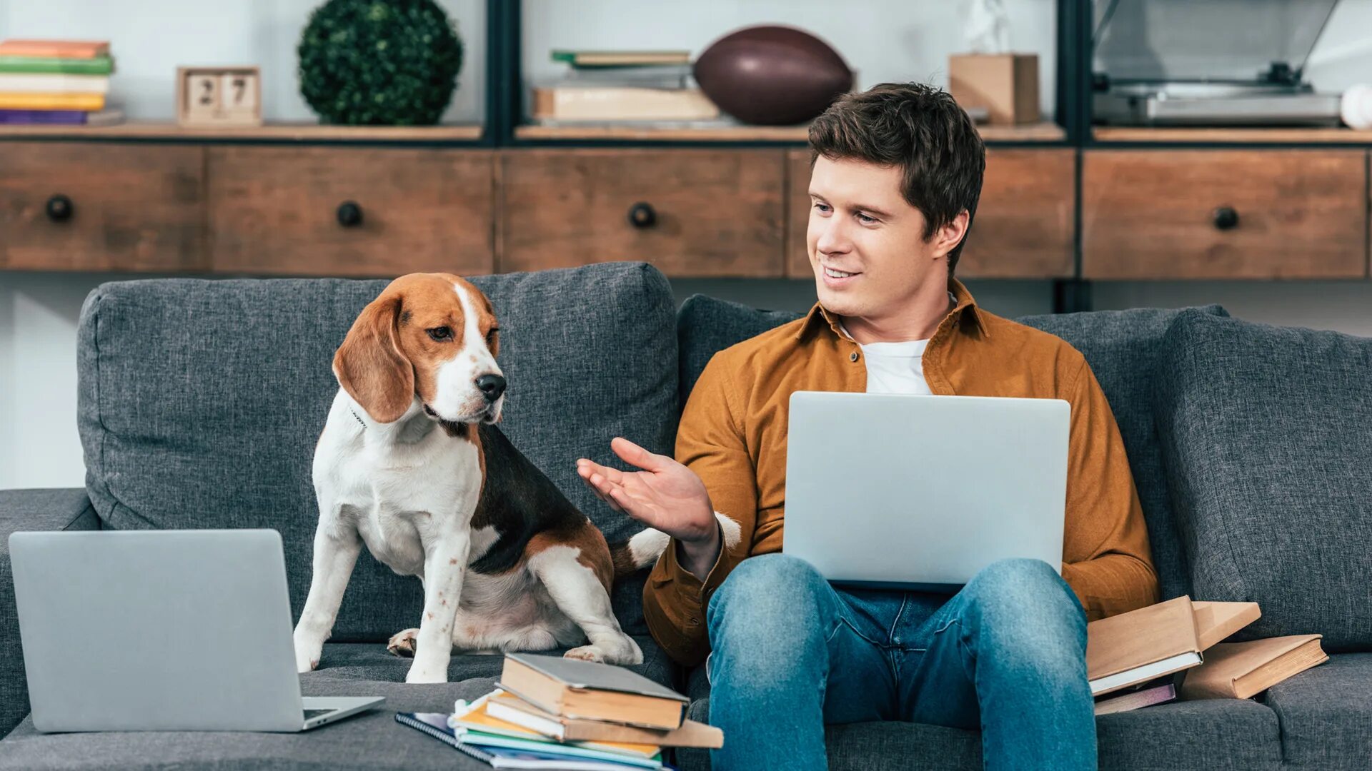 Pet student. Диван для собаки. Семья на диване с собакой. Бигль собака. Человек с собакой на диване.