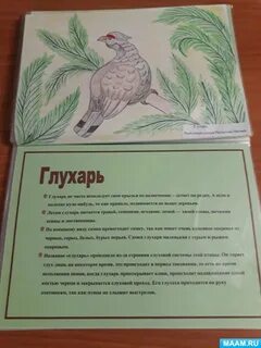 Подготовительной группе красная книга