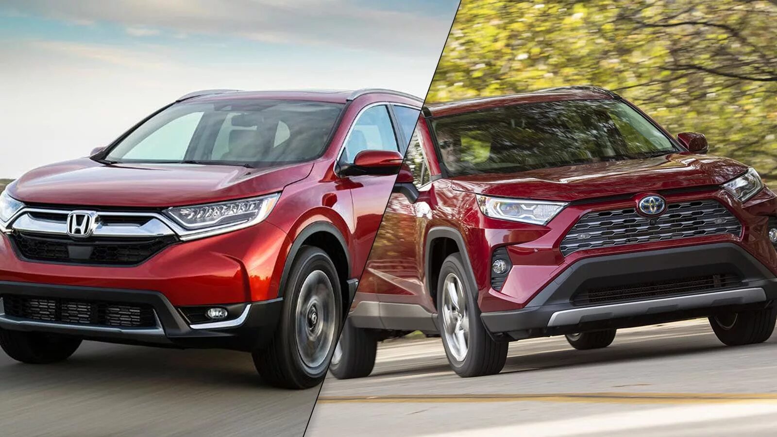 Сравнение тойоты и хонды. Toyota rav4 v. Тойота CRV 2019. Honda CRV 2019. Honda CR-V vs Toyota rav4.