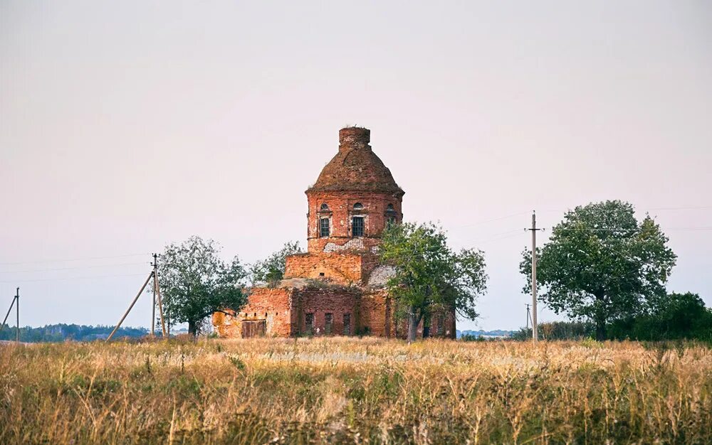 Тараксы