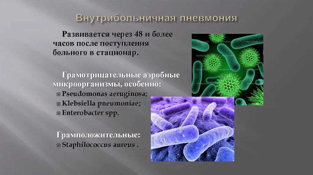 Внутрибольничная Госпитальная пневмония возбудитель. Грамотрицательные бактерии аэробы. Внутрибольничная пневмония синегнойная палочка. Пневмония вызванная грамотрицательными бактериями. Микробиологические на аэробные микроорганизмы