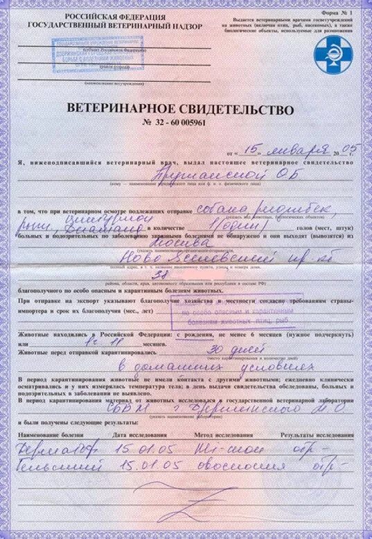 Форма 5 животных. Справка формы 1 для собаки. ветеринарное свидетельство для перевозки животных форма 1. ветеринарное свидетельство (справку) формы №1. ветеринарная справка ф1 на собаку.
