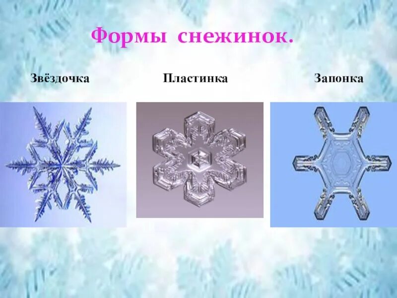Название снежинок. Разнообразие форм снежинок. Формы снежинок в природе. Формы снежинок в природе. Какие бывают виды снежинок.
