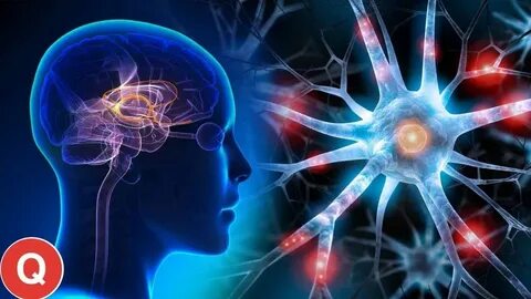 Brain power