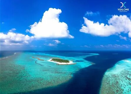 Joy maldives