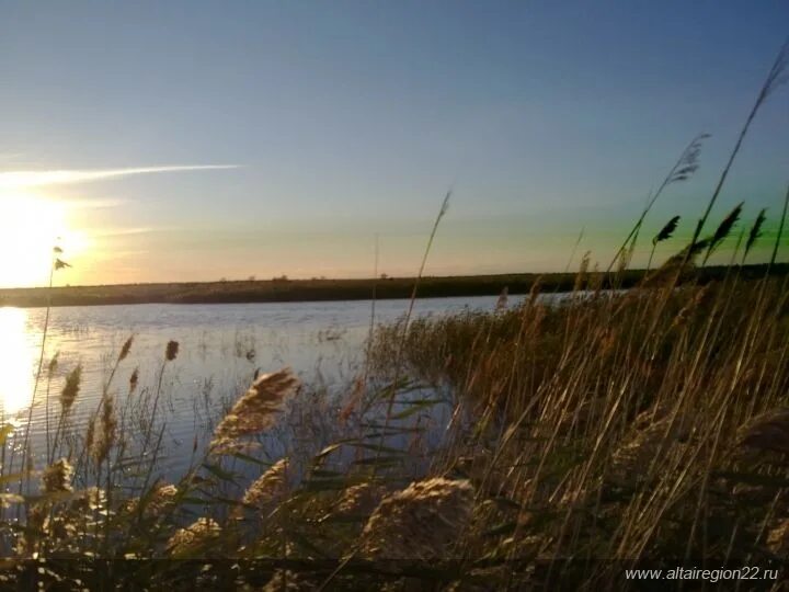 Погода новопесчаном алтайского края. Бурла Бурлинский район Алтайский край. Река Бурла Алтайский край. Алтайский край Бурлинский район село Бурла. Село Устьянка Алтайский край Бурлинский район озеро.