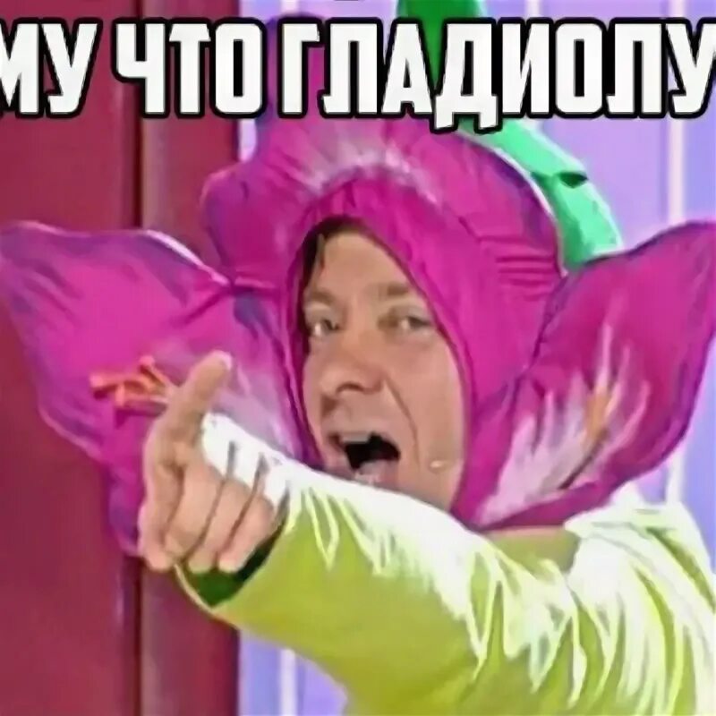 Потому что гладиолус уральские пельмени. Уральские пельмени гладиолус. Ты сдашь все экзамены. Уральские пельмени гладиолус. Брекоткин гладиолус.