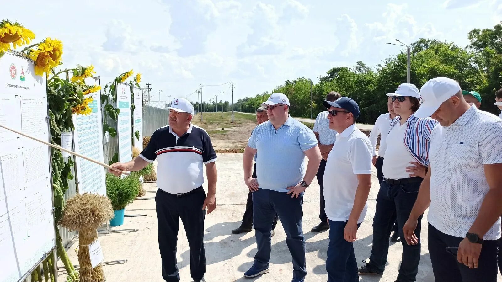 Погода в мокрые курнали. Погода в мокрые курнали