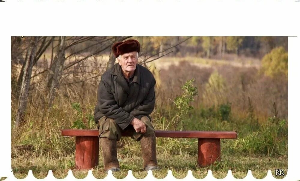 Сторож деревьев