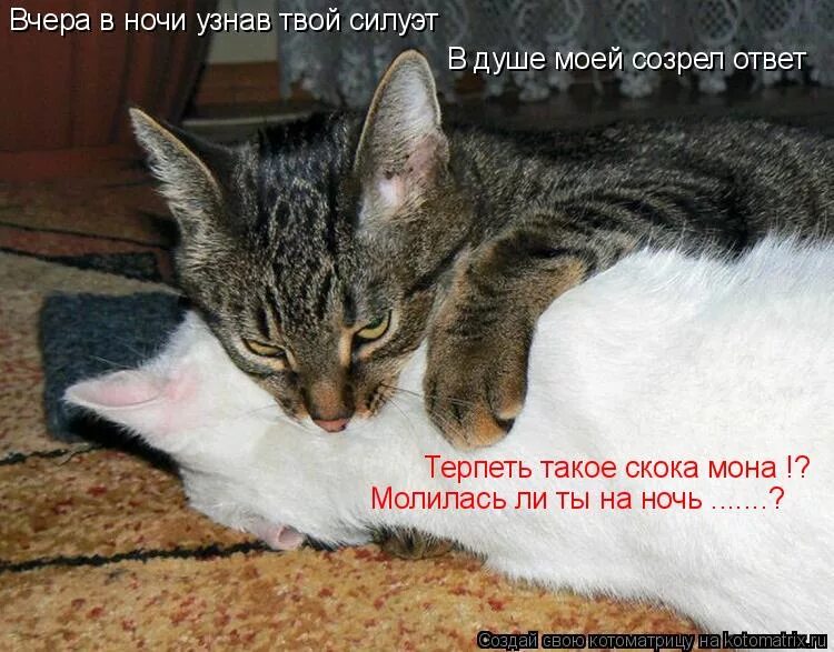 молилась ли ты на ночь откуда. молилась на ночь дездемона. молилась ли ты на ночь. молилась ли ты на ночь откуда. молилась ли ты дездемона.