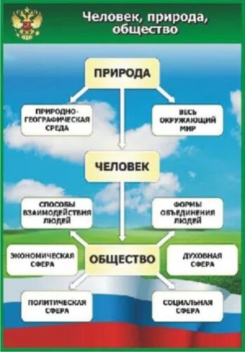 Тест обществознание 6 класс общество и природа. Человек общество природа. Стенды по обществознанию. Стенд Обществознание экономика. Обществознание в схемах цветные.