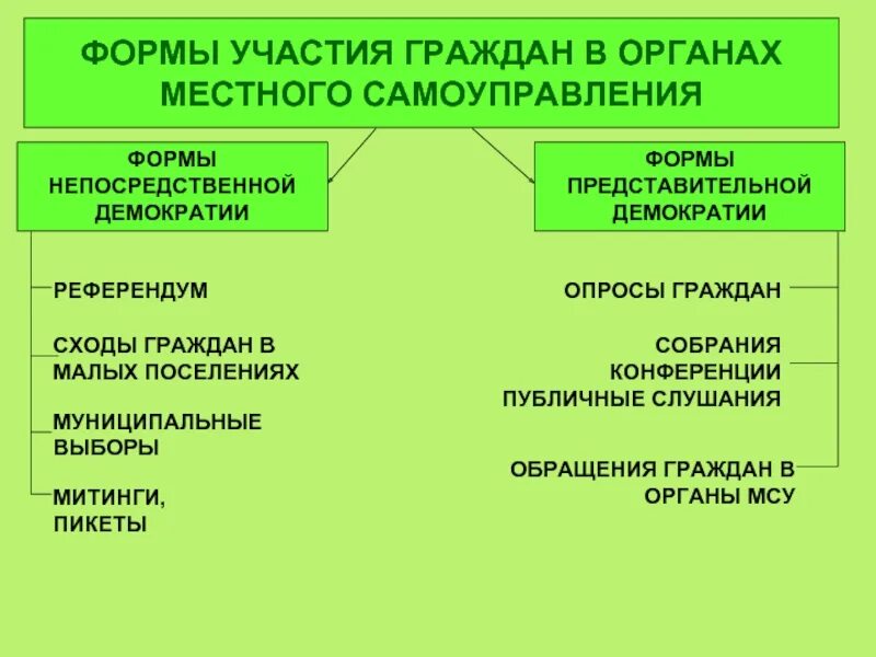 Формы демократии местного самоуправления