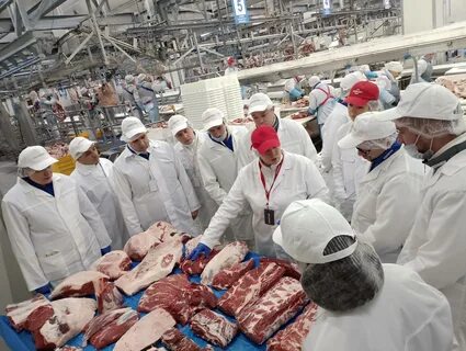 Мираторг брянск телефон