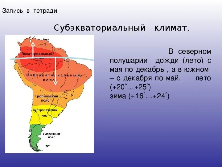 Бразилия особенности природных зон 7 класс