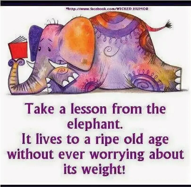 Quotes about Elephant.