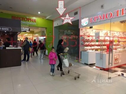Тц сияние