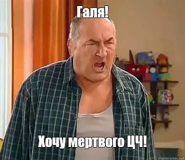 Стс галя