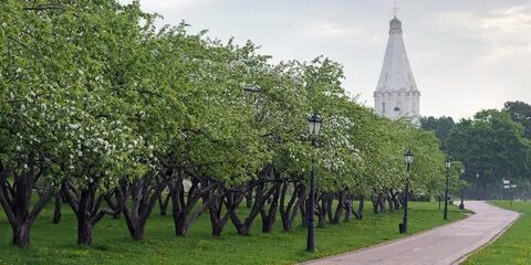 Детский парк в коломенском
