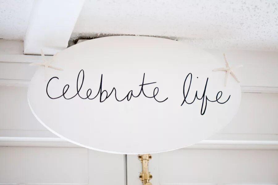Celebrate this life. Sensation white. Celebration of life. Celebrate life. Celebrate this life.