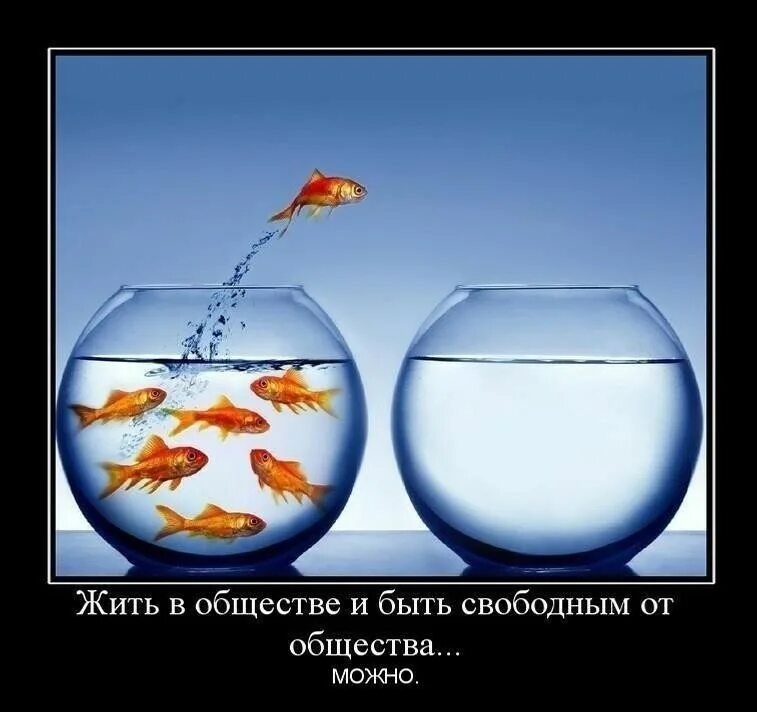 Уметь жить в обществе. Жить в обществе и быть. Свобода демотиваторы. Жили живем и будем жить. Жили жиаем и БУДЕМЖИТЬ.