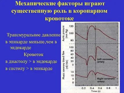Непрерывный кровоток
