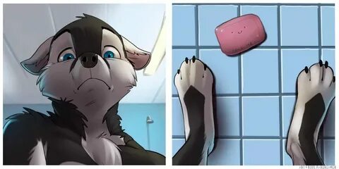 Tom furry