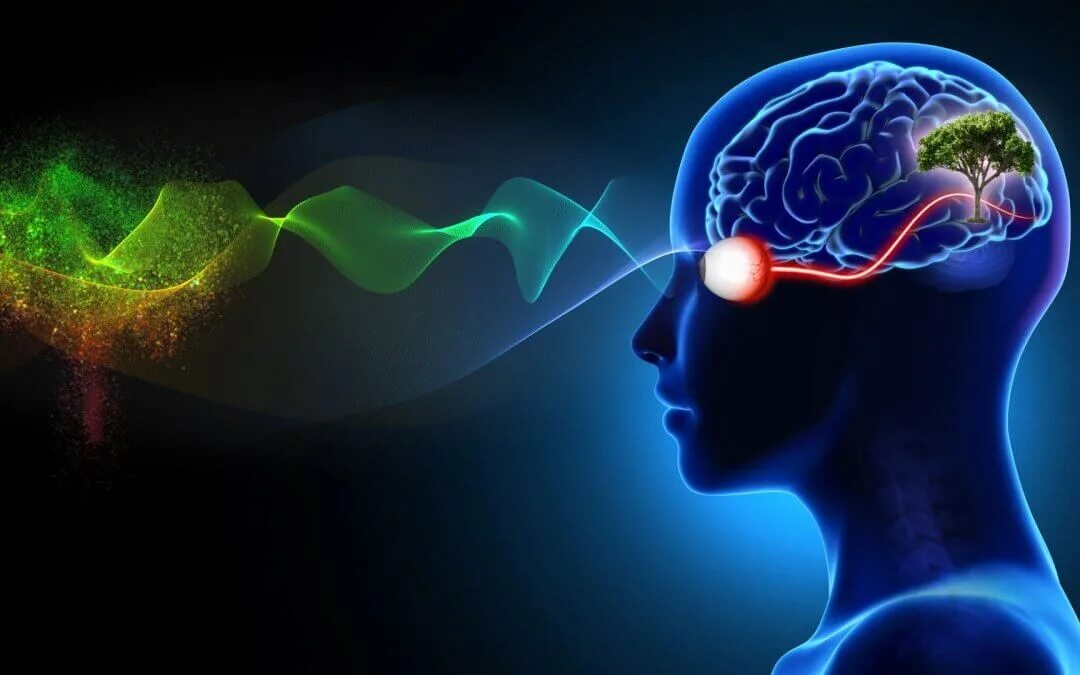 Brain eyes. Зрение и мозг. Мозг и информация.