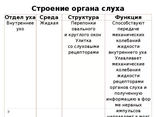 Таблица строение и функции отделов органа слуха. Органы ухо строение и функции. Строение уха отделы строение и функции. Строение органа слуха отделы уха. Установите соответствие между отделами органа слуха