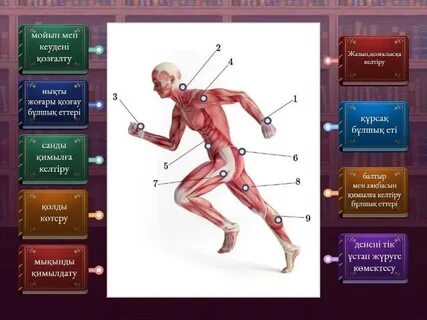 Ыстық ананы бұлшық ет жігіті жақсылап трахает етеді