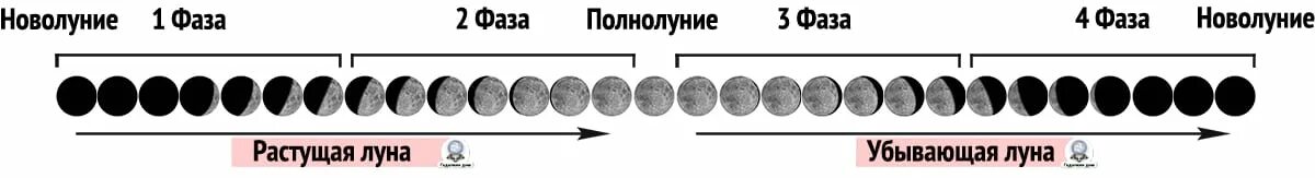 30 лун в годах. Монета с компасом и фазами Луны. 30 Лун это сколько лет. Свеча фазы Луны. Главный лунный цикл 412 суток вокруг солнца.