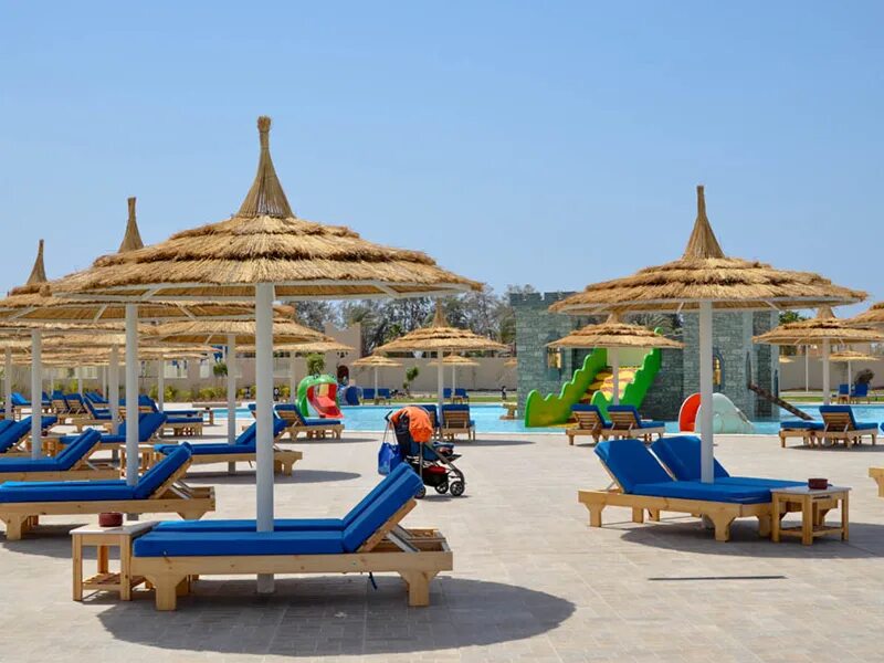 Albatros royal grand sharm шарм-эль-шейх. Шарм эль шейх albatros laguna vista. Albatros royal grand sharm 5 16+. Pickalbatros шарм 5. Pickalbatros royal grand resort sharm 5*.