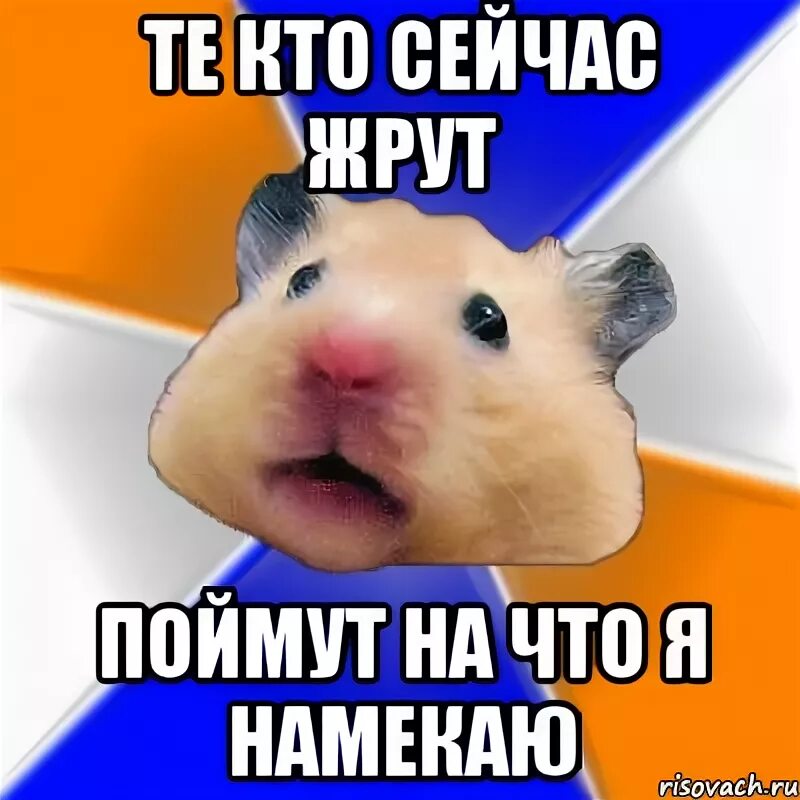 Сегодня празднует день рождения наш админ, Тимур Таиров! Поздравляем его с этим 