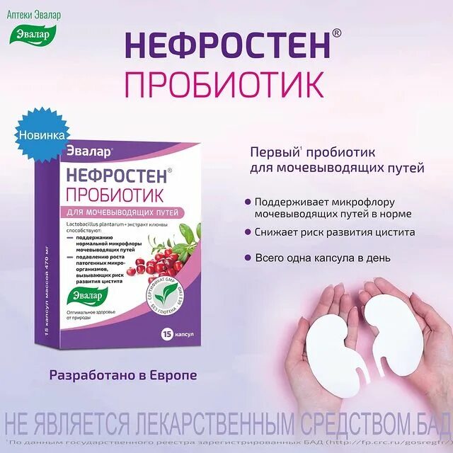 нефростен пробиотик инструкция. нефростен пробиотик инструкция. 250мг №60. лекарство нефростен эвалар. №15.